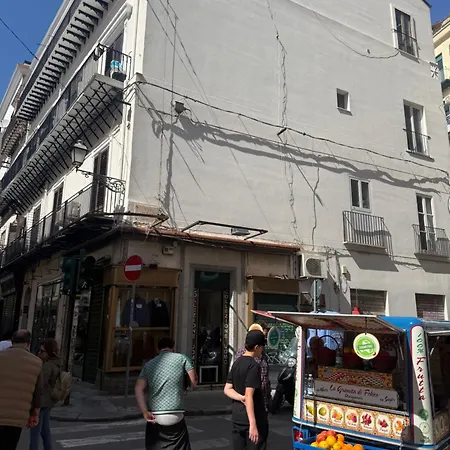 Maqueda Vibes